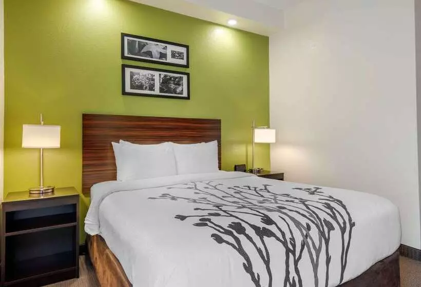 Spot X Hotel Tampa   Wesley Chapel By The Red Collection