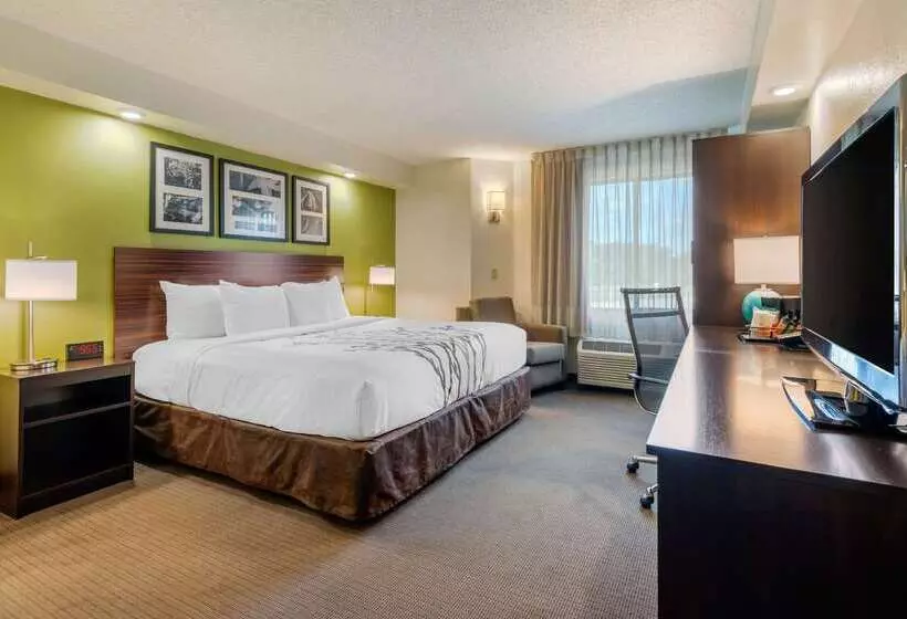 Spot X Hotel Tampa   Wesley Chapel By The Red Collection