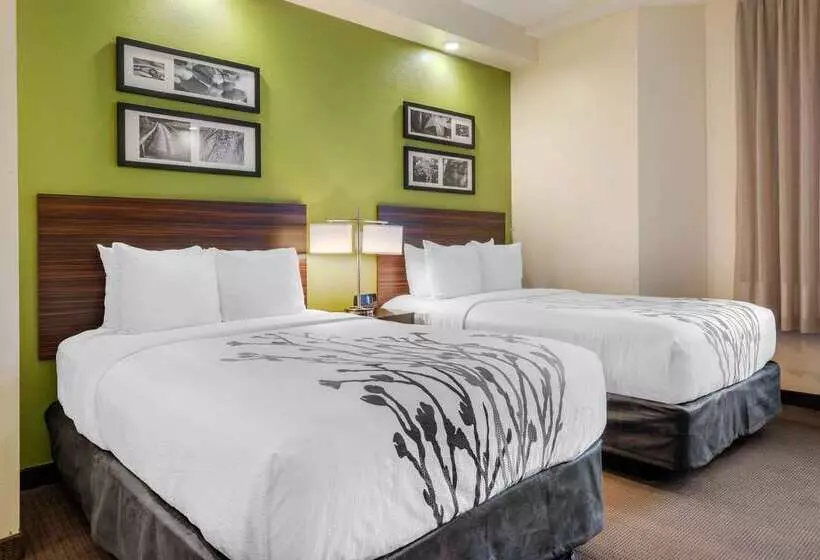 Spot X Hotel Tampa   Wesley Chapel By The Red Collection