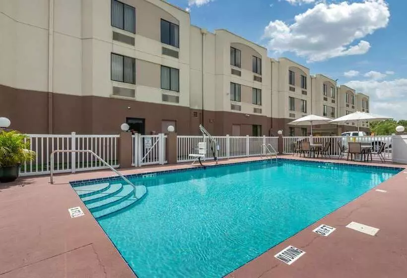 Spot X Hotel Tampa   Wesley Chapel By The Red Collection