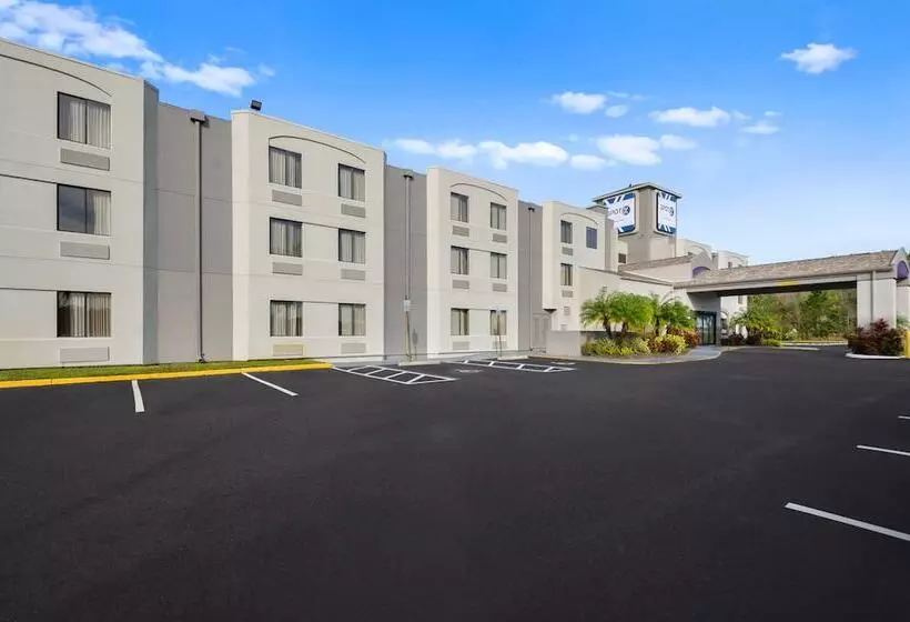 Spot X Hotel Tampa   Wesley Chapel By The Red Collection