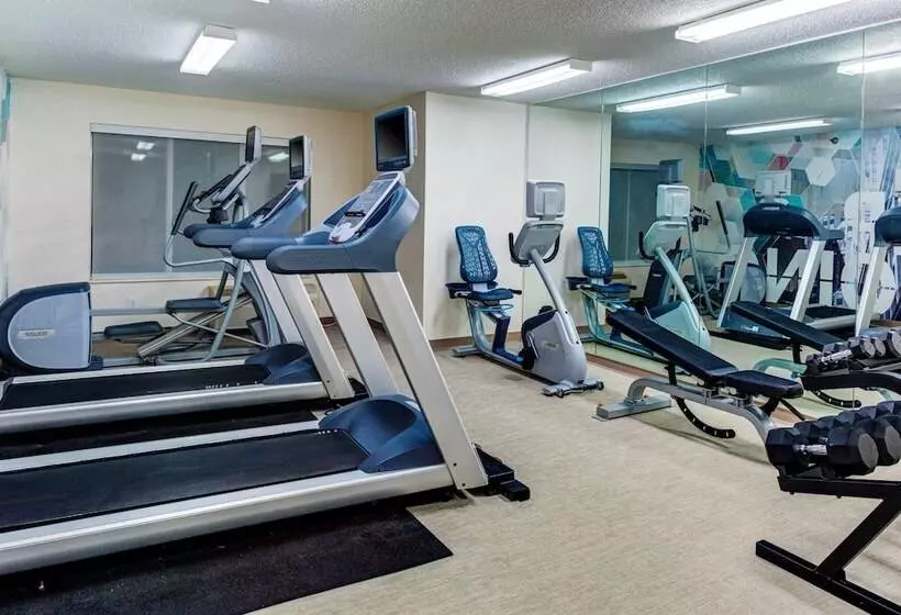 ホテル Springhill Suites By Marriott Memphis East Galleria