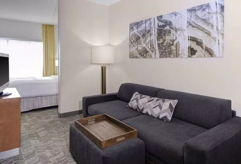 ホテル Springhill Suites By Marriott Memphis East Galleria