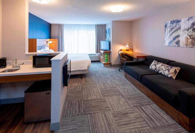 فندق Springhill Suites Rochester Mayo Clinic Area/saint Marys