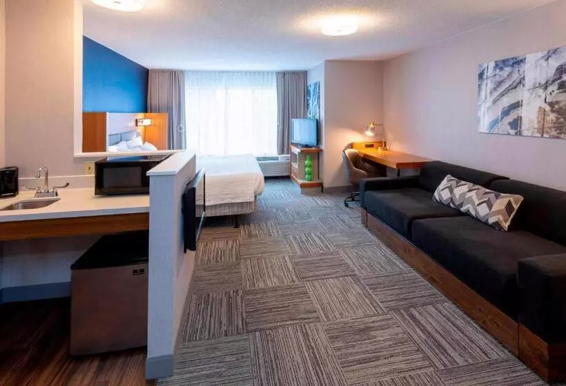 هتل Springhill Suites Rochester Mayo Clinic Area/saint Marys