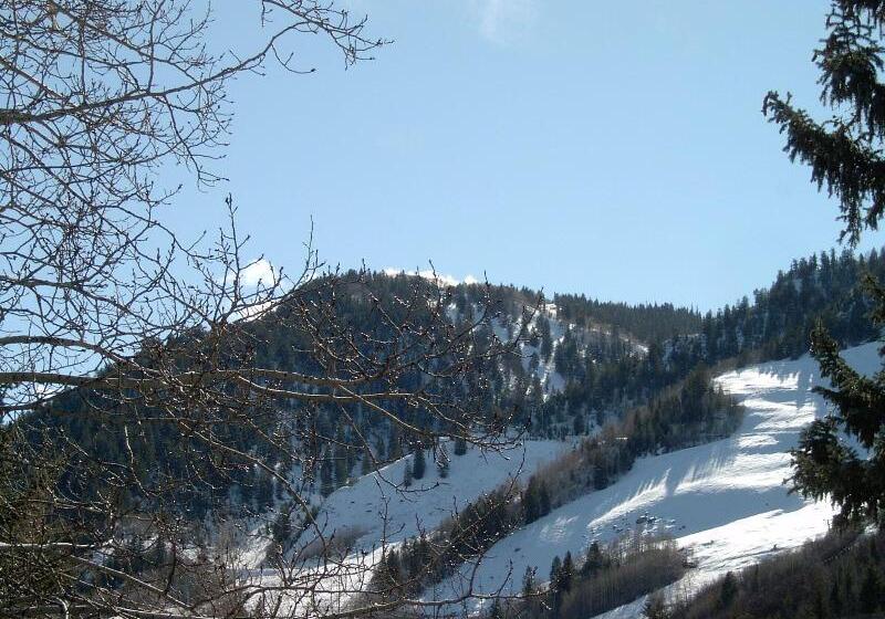 هتل St Moritz Lodge And Condominiums