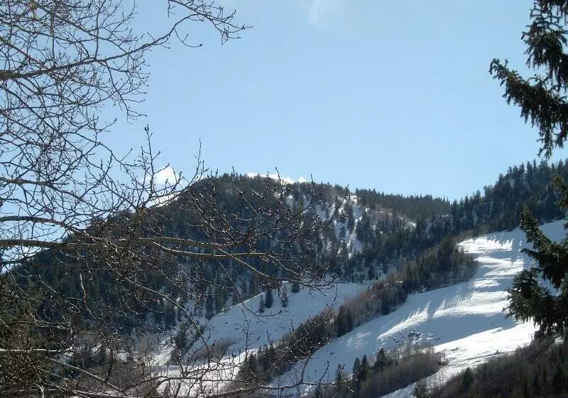 호텔 St Moritz Lodge And Condominiums