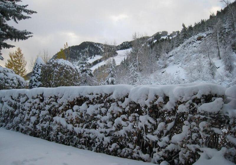 هتل St Moritz Lodge And Condominiums