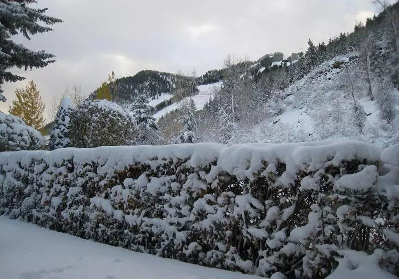 호텔 St Moritz Lodge And Condominiums