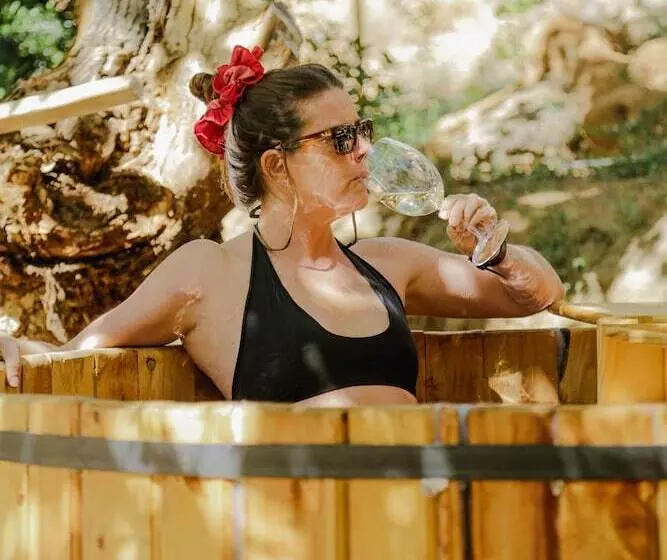 Hotelli Milodge Elqui Domos