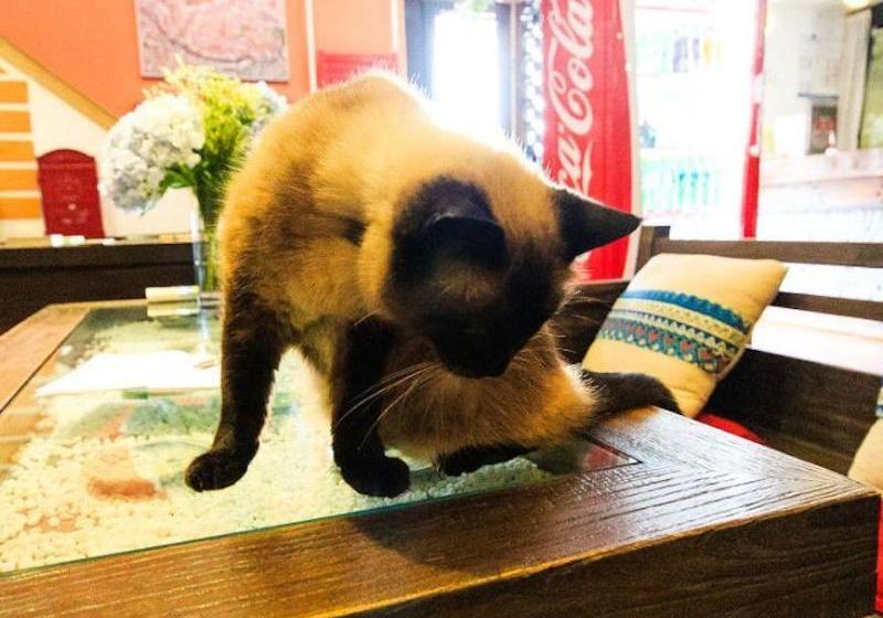 酒店 Hofang Guest House