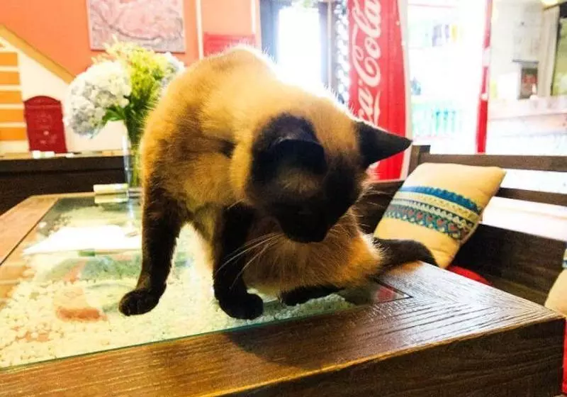 هتل Hofang Guest House