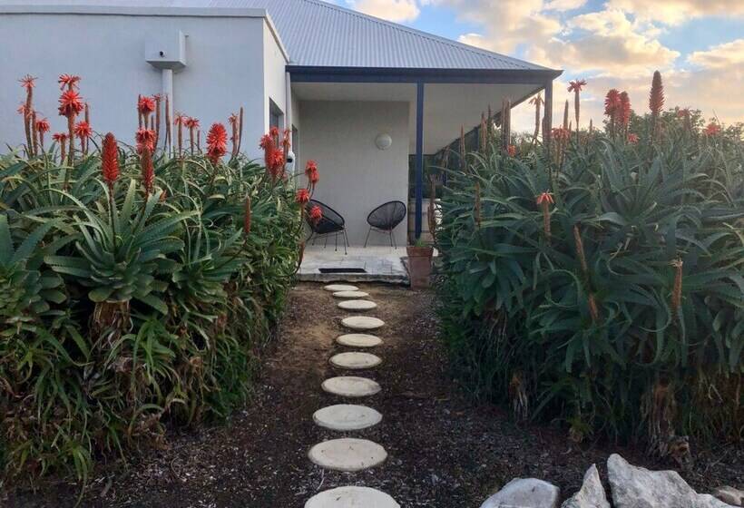 호텔 Surfpoint Resort