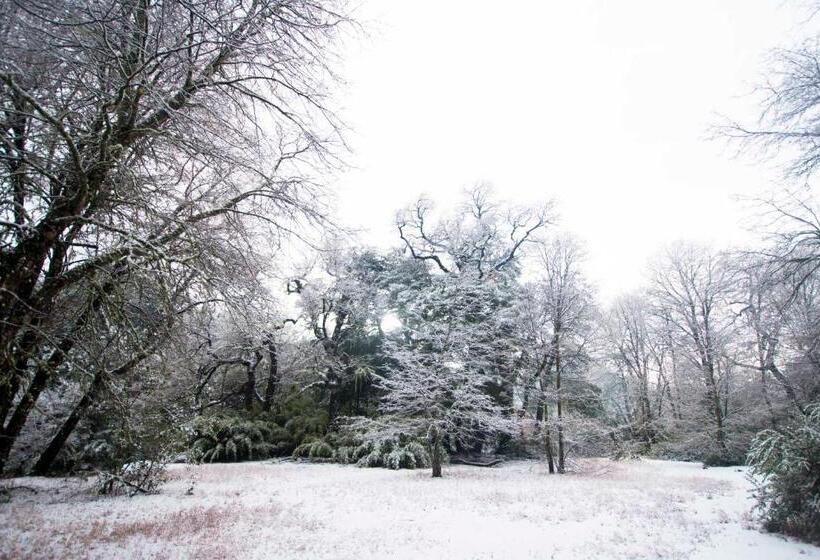 پانسیون Duub Hostel