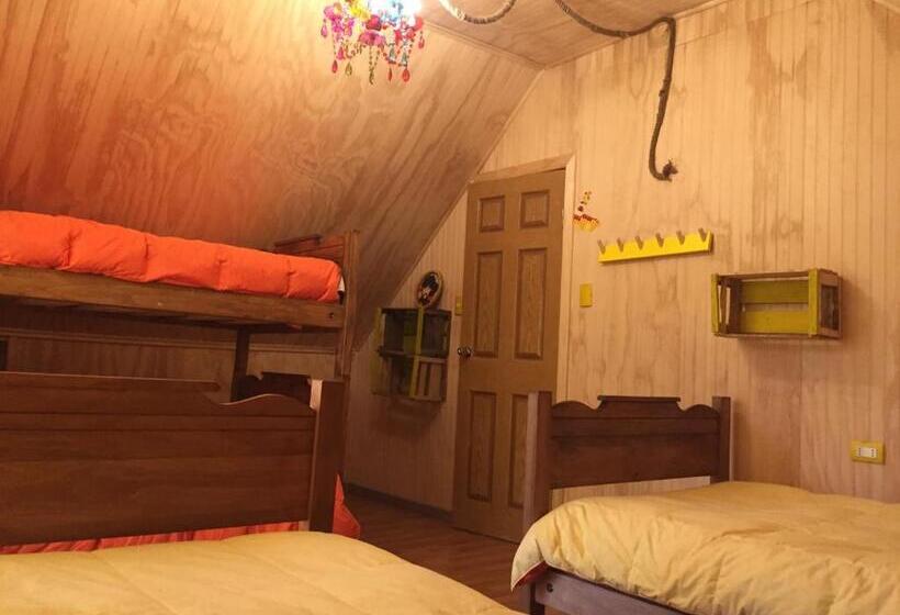 پانسیون Duub Hostel