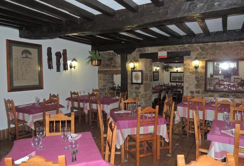 Общежитие Posada Maximo