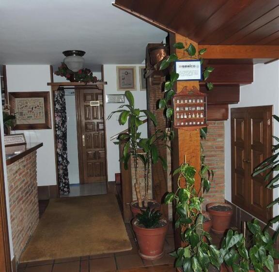 Общежитие Posada Maximo