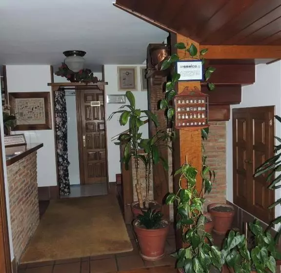 Vandrarhem Posada Maximo