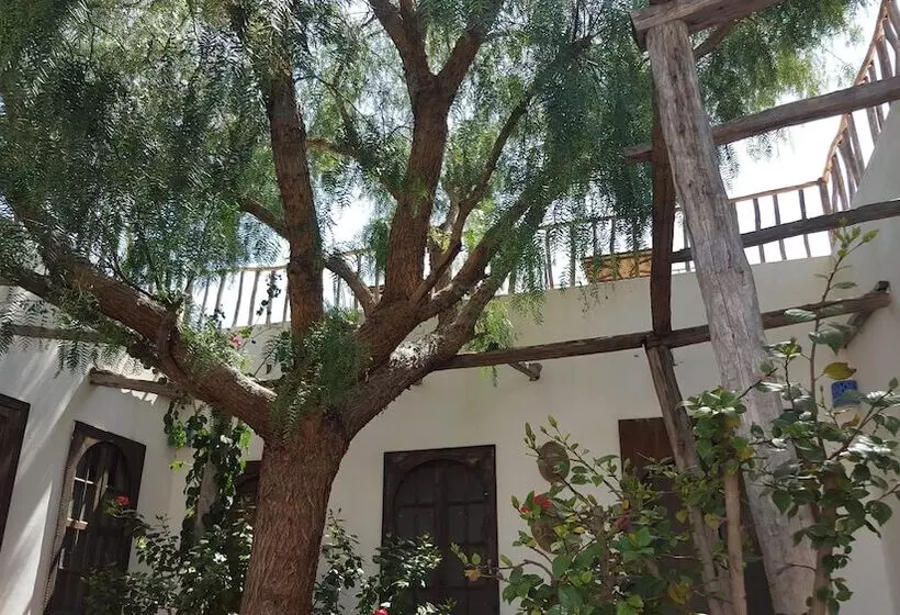 La Maison D'hortense