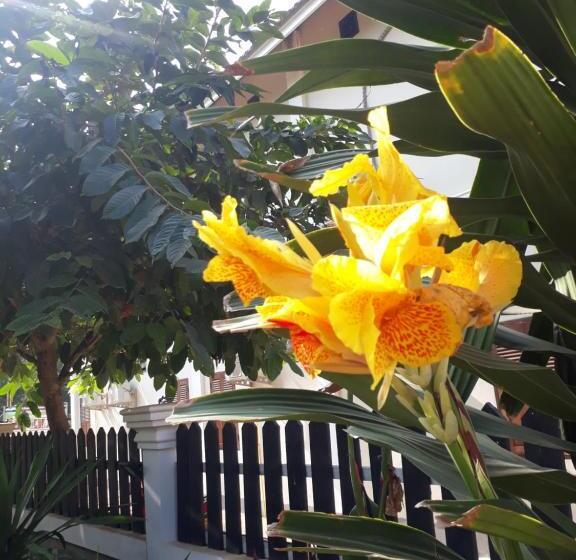 بنسيون Nam Ou View Villa