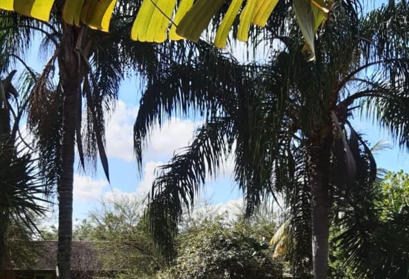 Palmier Hotel & Convenções