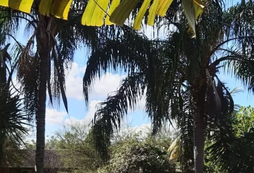 Palmier Hotel & Convenções