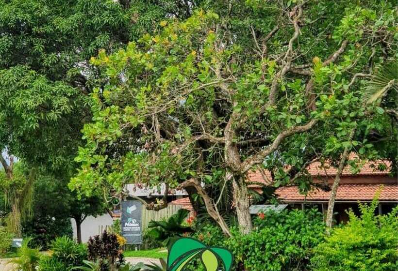 Palmier Hotel & Convenções