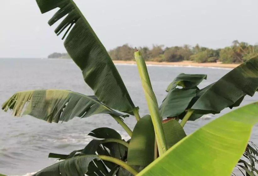 پانسیون Pousada Cameroun