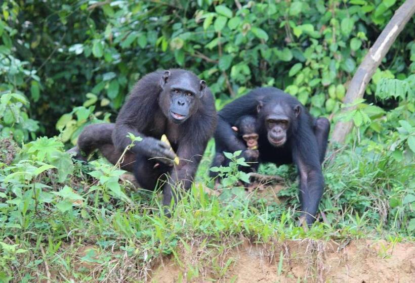 پانسیون Pousada Cameroun