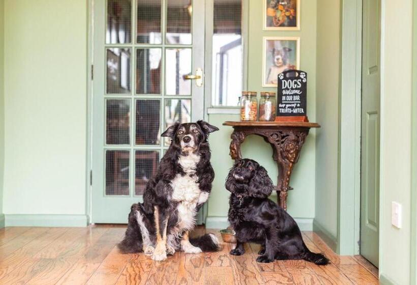 ベッドアンドブレックファースト The Fromeway