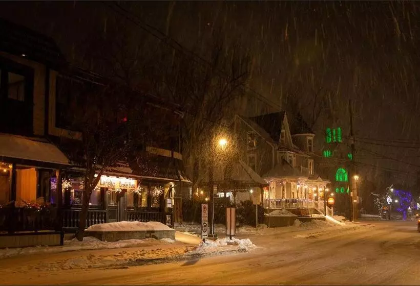 تختخواب و صبحانه Au Coeur De Saint Sauveur