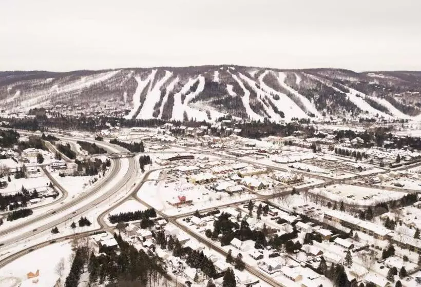 تختخواب و صبحانه Au Coeur De Saint Sauveur