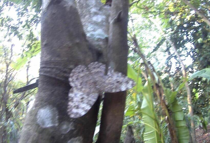 پانسیون Hostal Juan Lindo