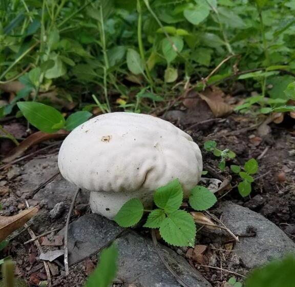 پانسیون Hostal Juan Lindo