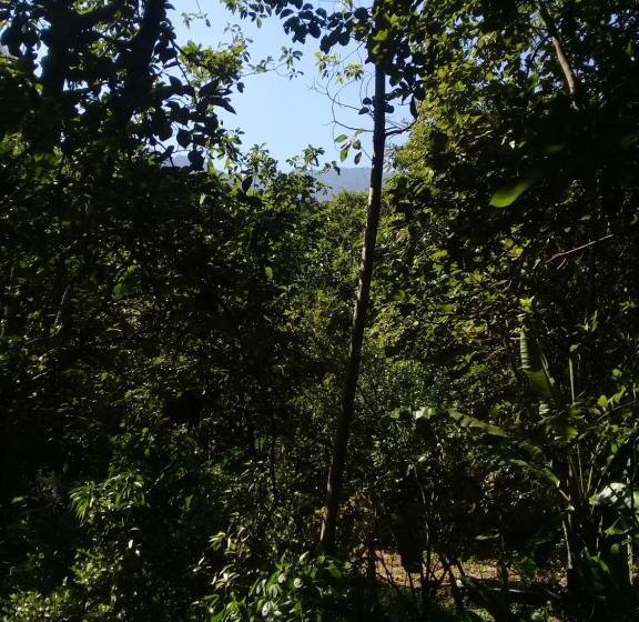 پانسیون Hostal Juan Lindo