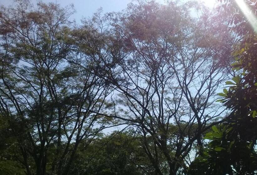 پانسیون Hostal Juan Lindo