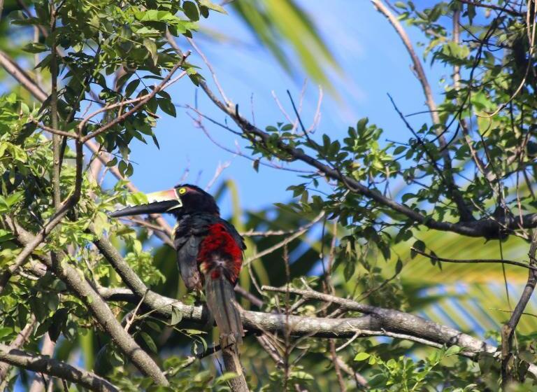 پانسیون Hostal Juan Lindo