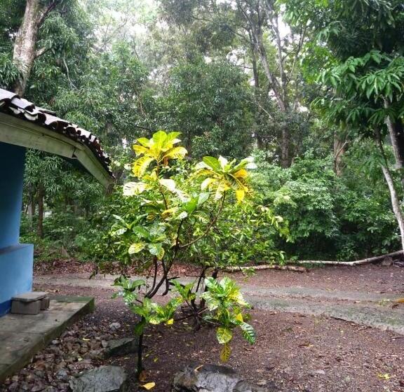 پانسیون Hostal Juan Lindo