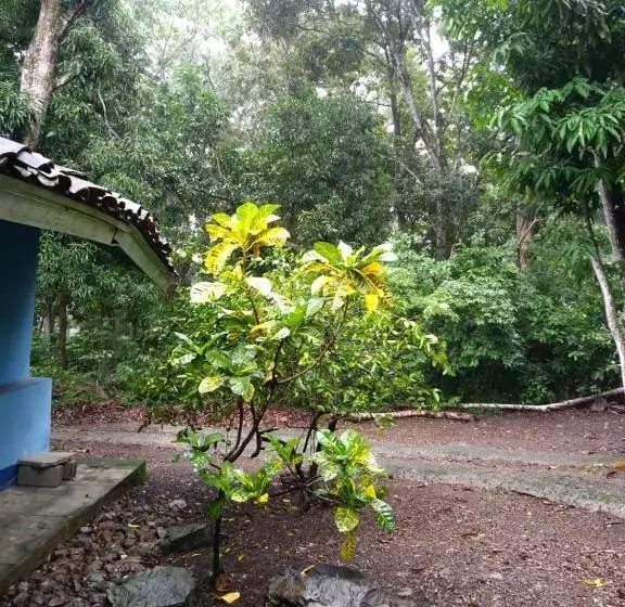 پانسیون Hostal Juan Lindo