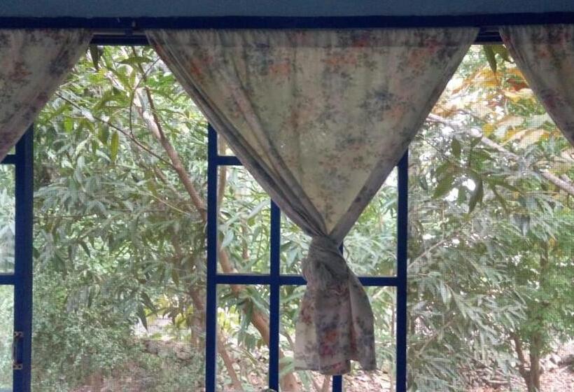 پانسیون Hostal Juan Lindo