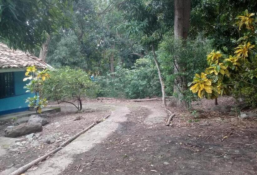 پانسیون Hostal Juan Lindo