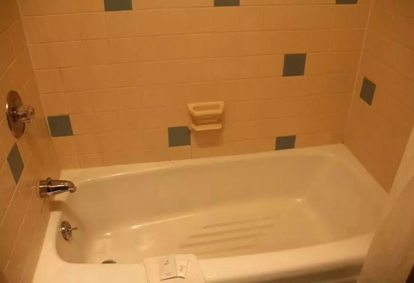 בית מלון כפרי Budget Inn   Troy