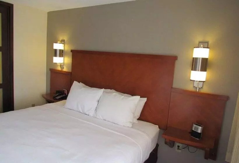 ホテル Hyatt Place Columbus/dublin