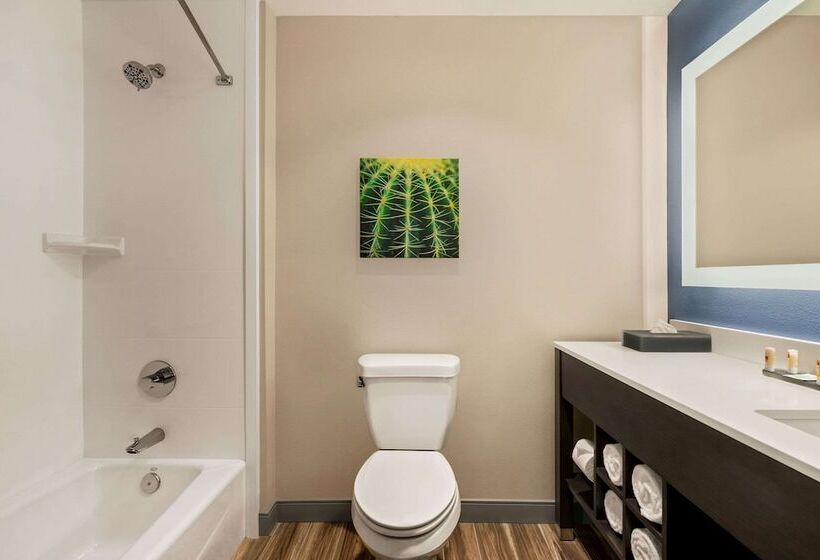 호텔 Laquinta Inn & Suites By Wyndham San Bernardino