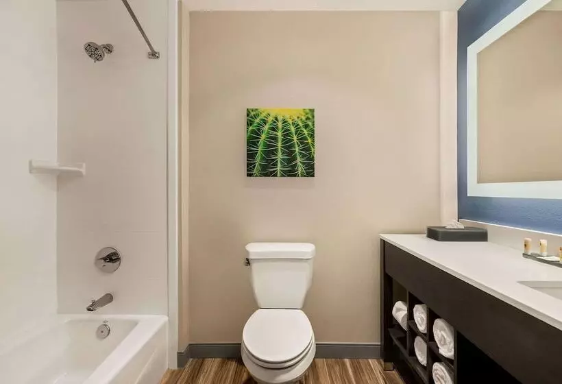 호텔 Laquinta Inn & Suites By Wyndham San Bernardino