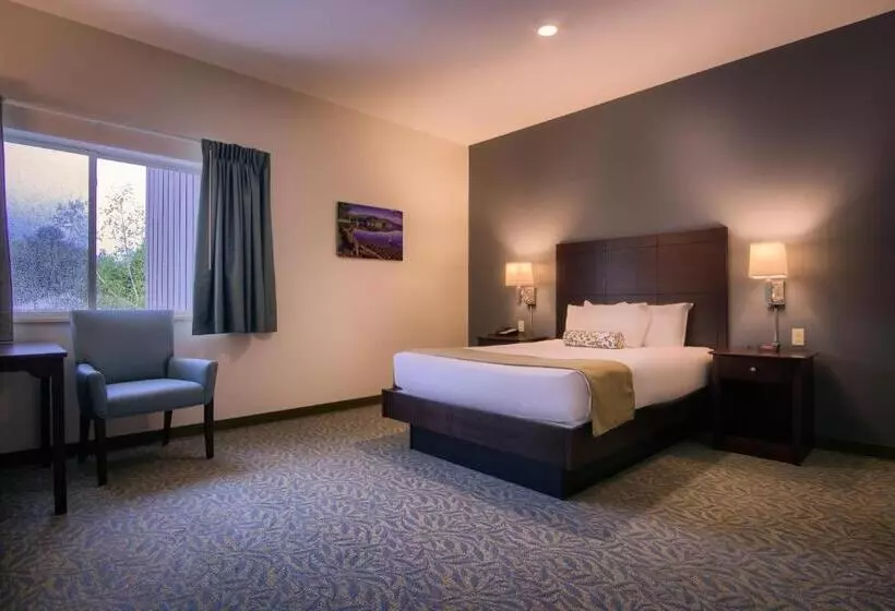 Отель Sun & Ski Inn And Suites