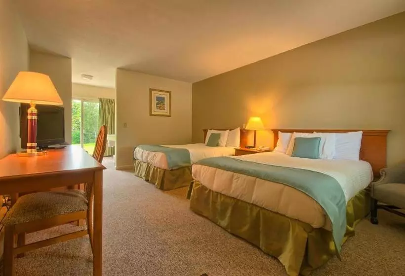 Отель Sun & Ski Inn And Suites