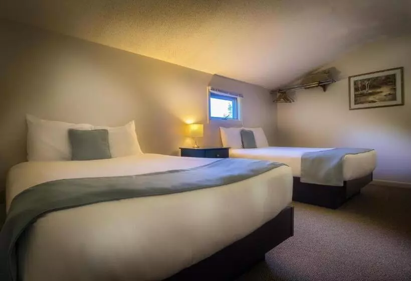 Отель Sun & Ski Inn And Suites