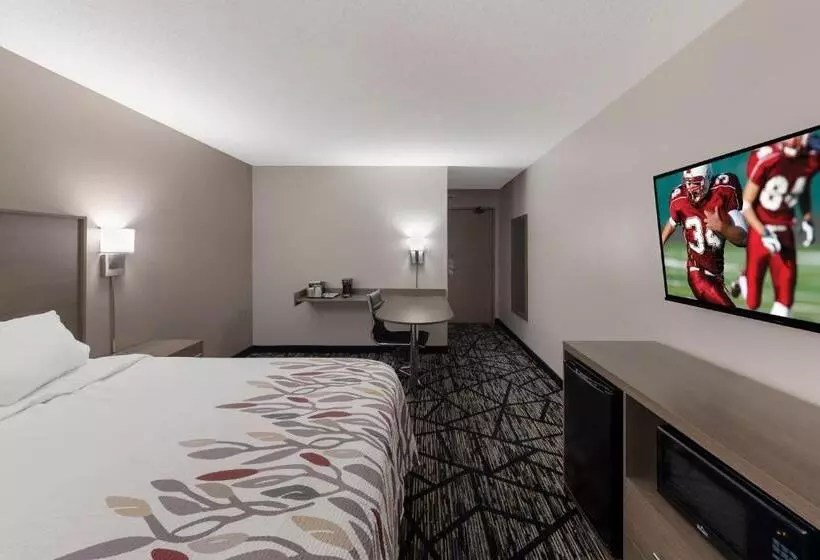 汽车旅馆  Red Roof Inn Mansfield