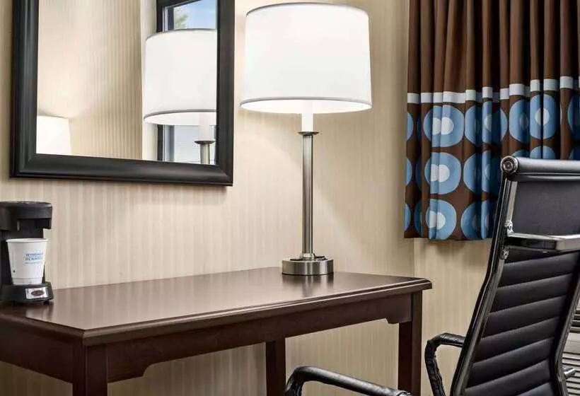 汽车旅馆 Super 8 By Wyndham Grove City